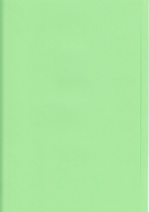 Bok: Innermapp A4 grön
