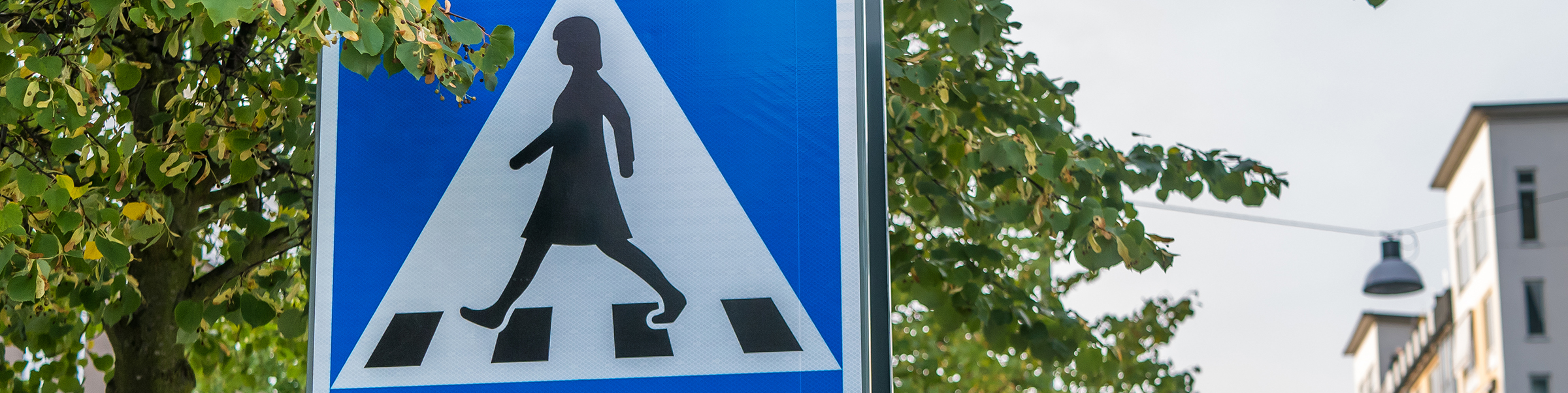 Bakrundsbild för sidhuvud
