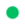 Grön ikon