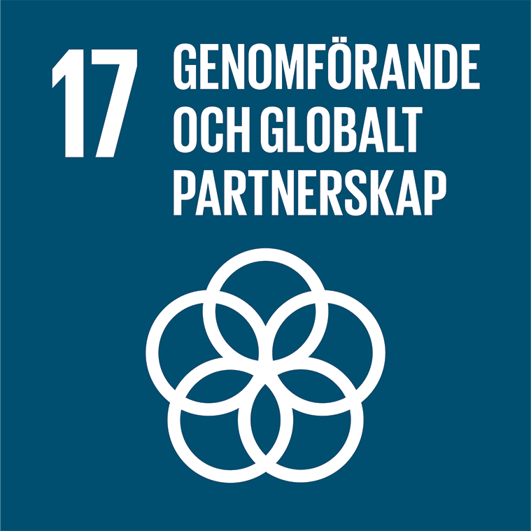 17. Genomförande och globalt partnerskap