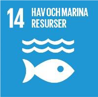bild 7 SDG.png