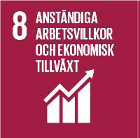 bild 3 SDG.png